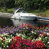 WHT/BLU 2004 Doral 250 SE MONTICELLO CRUSIER at Sandy Cove Marine Services